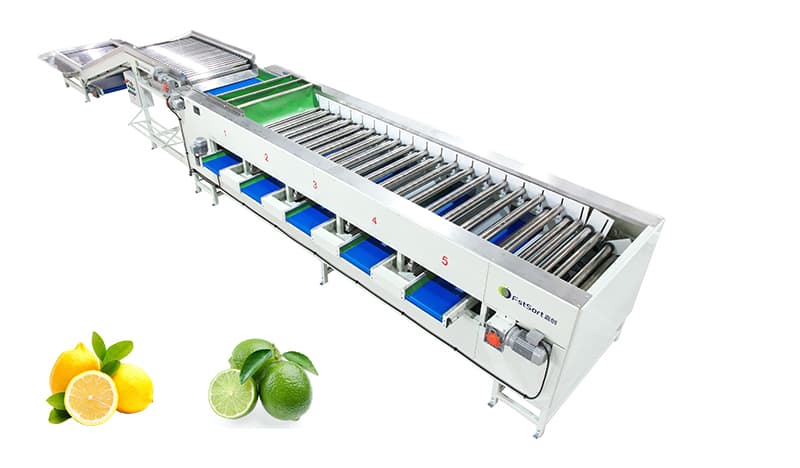 images/1695024679788lime sorting processing line.jpg